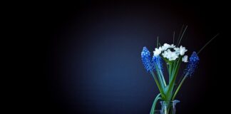 Ile waży 9 miesięczne dziecko?