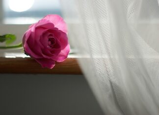 Co powiesić zamiast firanki? Co powiesić zamiast firanki?