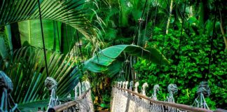 Ile kosztuje kurs programowania?