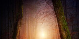 Co zrobić żeby dziecko zaczęło samo chodzić?