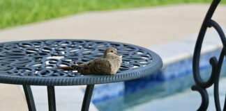 Czy 5 miesięczne dziecko może się kąpać w basenie?