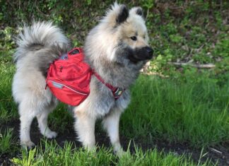 Jakie nosidełko dla noworodka do samochodu? Jakie nosidełko dla noworodka do samochodu?