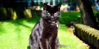 Czym mogą malować dzieci?