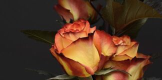 Komu należy się 12 tysięcy za urodzenie dziecka?