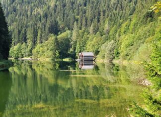 Ile kosztuje postawienie domku na działce rod?