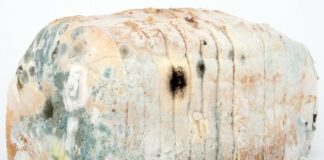 Czym dezynfekować butelki?