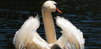 Jaki fotelik dla 3 miesięcznego dziecka?