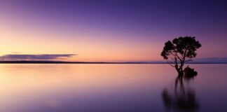 Co kupić wodę toaletową czy perfumowaną?