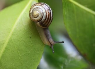 Co to znaczy jak dziecko chodzi na palcach?