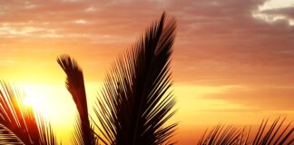 Co na stan zapalny pod pachami?