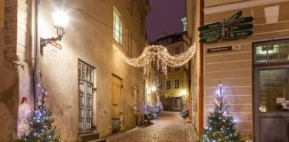 Jak zrobić choinkę że szczotki do butelek?