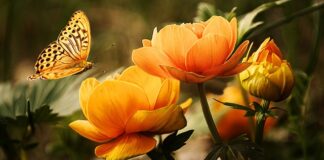 Jaki płyn do mycia butelek i smoczków?