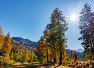 Czy można zrobić masę solną dzień wcześniej? Czy można zrobić masę solną dzień wcześniej?