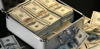 Ile zarabia programista robotów?