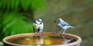 Kiedy zacząć się martwić że dziecko nie mówi?