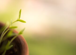 Jak pisać szybciej?