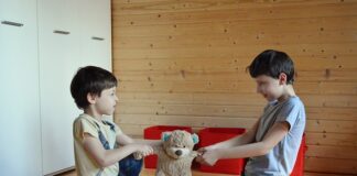 Jak samemu zrobić zabawkę dla psa?