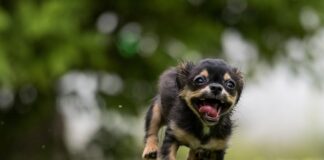 Czym się bawi 18 miesięczne dziecko?