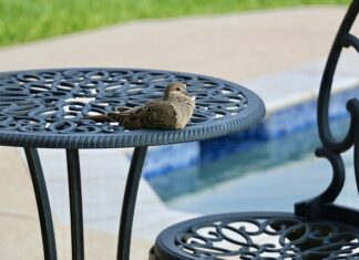 Czy 3 miesięczne dziecko może się kąpać w basenie?