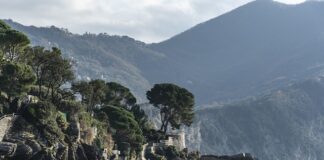 Ile kosztuje catering dla 20 osób?