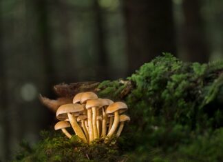 Jak zamontować listwy do blatu?