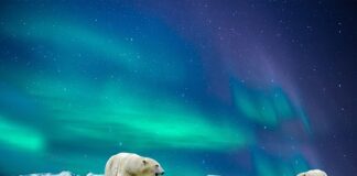 Kiedy Photon jest naładowany?